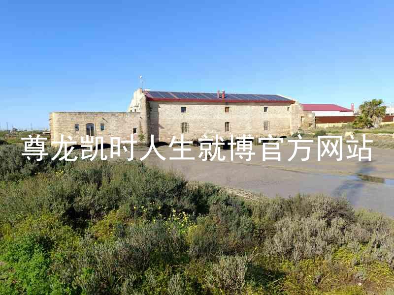 尊龙凯时人生就博官方网站